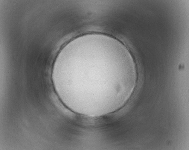 X0000111890672200909031906