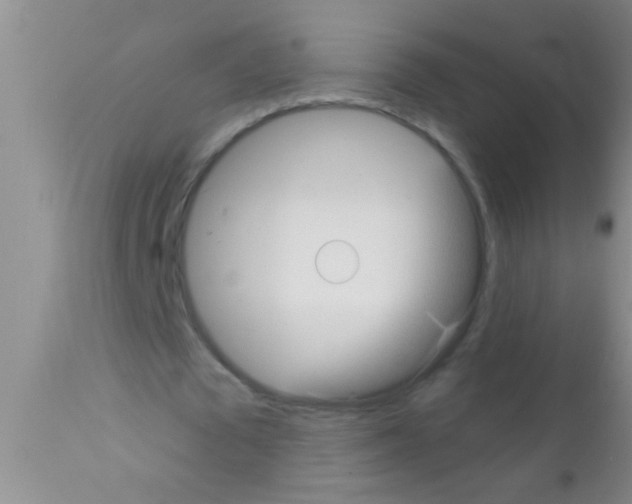 X0000111890673200909031905