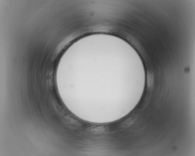 X0000111890675200909031905