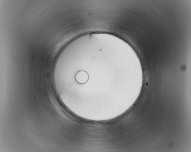 X0000111890677200909031905