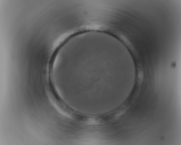 X0000111890678200909031905