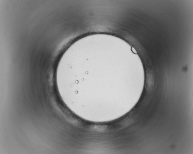 X0000111890680200909031905