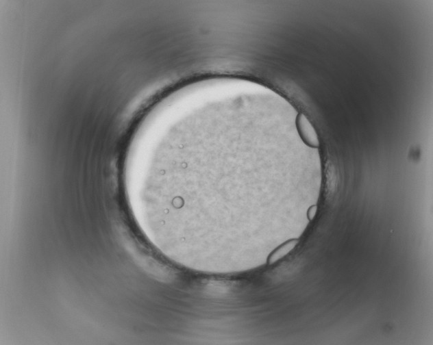 X0000111890684200909031905