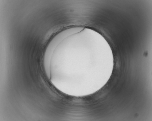 X0000111890685200909031905