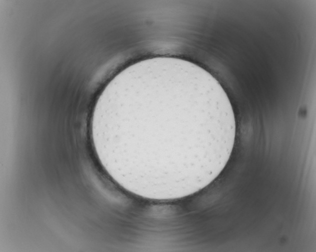 X0000111890686200909031905