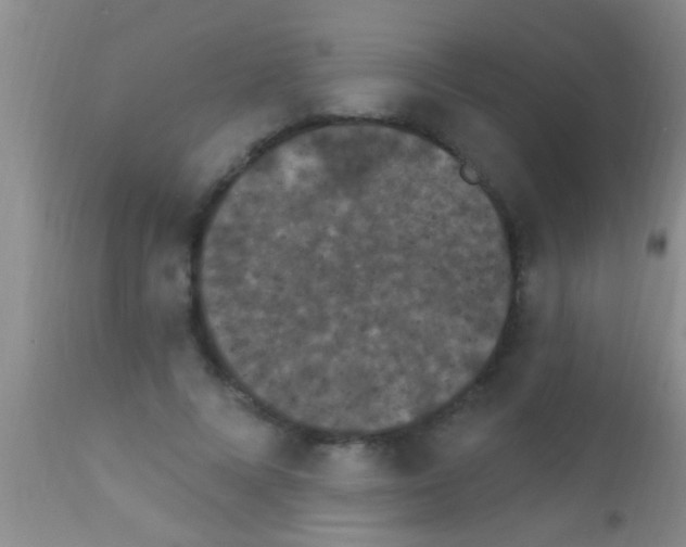 X0000111890688200909031905