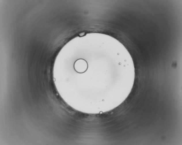 X0000111890696200909031905