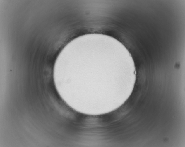 X0000111890699200909031905