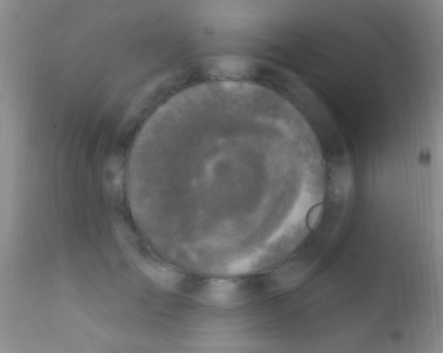 X0000111890701200909031905