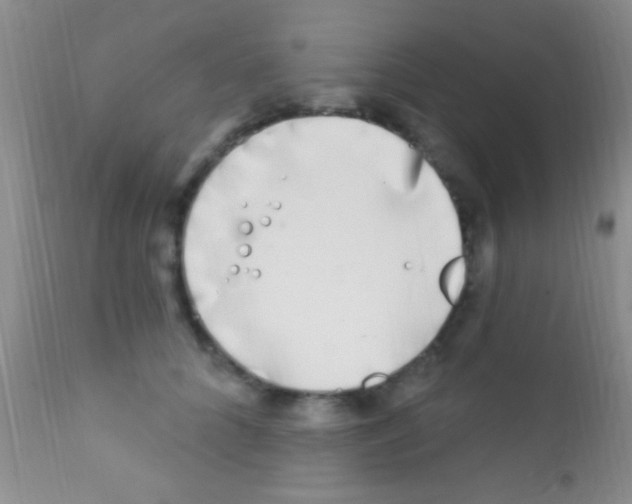 X0000111890704200909031905