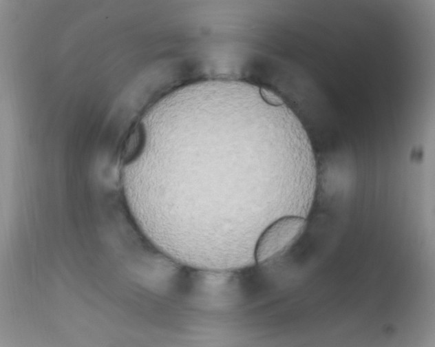 X0000111890709200909031905