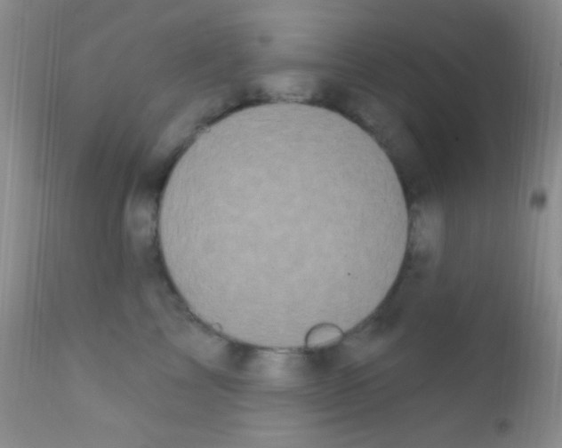 X0000111890713200909031904