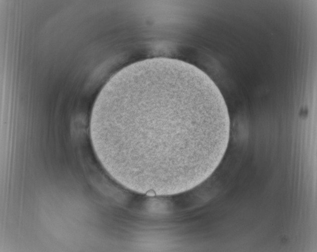 X0000111890714200909031904