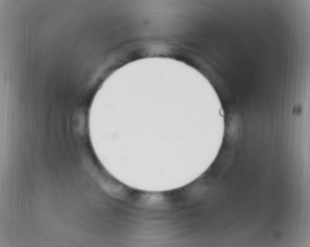 X0000111890715200909031904