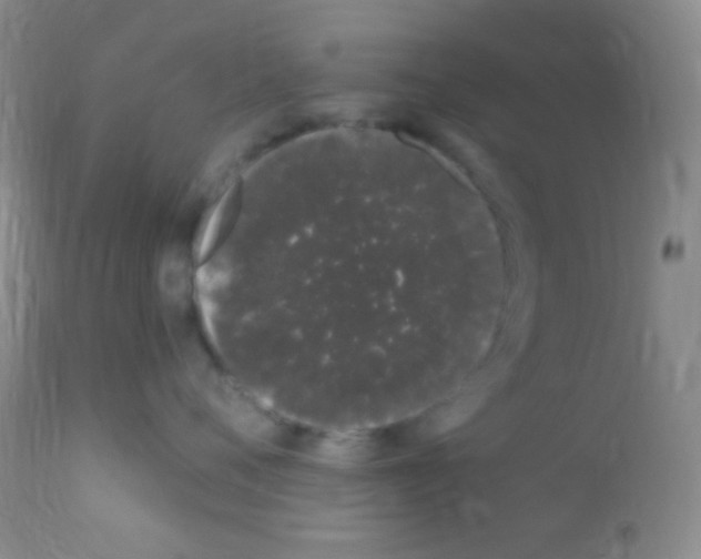 X0000111890720200909031904