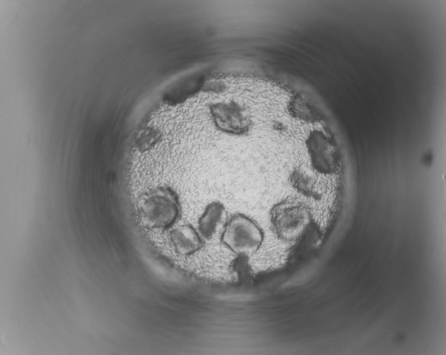 X0000111890721200909031904