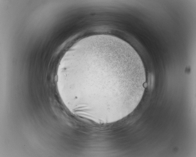 X0000111890723200909031904