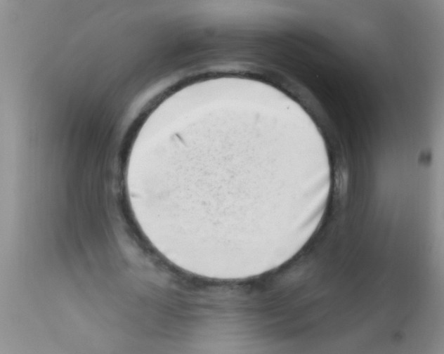 X0000111890724200909031904