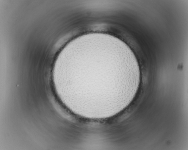 X0000111890725200909031904