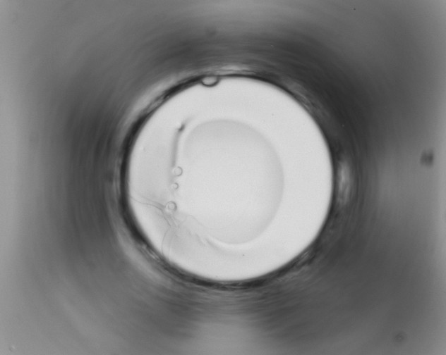 X0000111890726200909031904