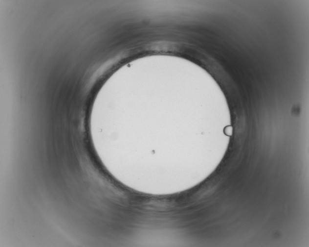 X0000111890727200909031904