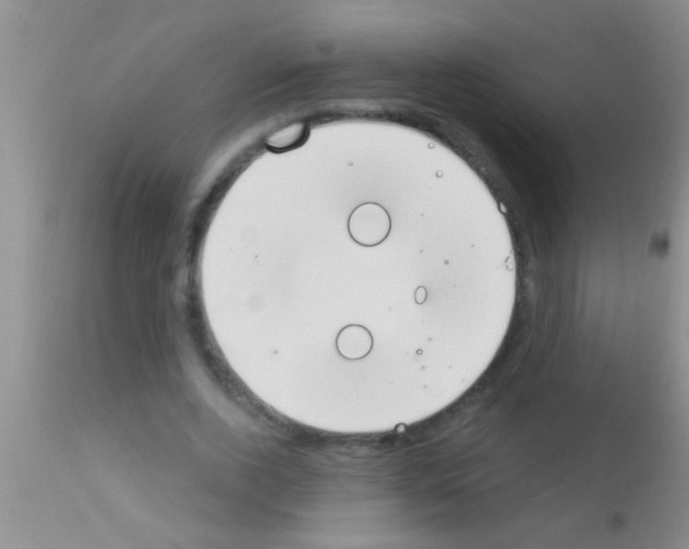 X0000111890728200909031904