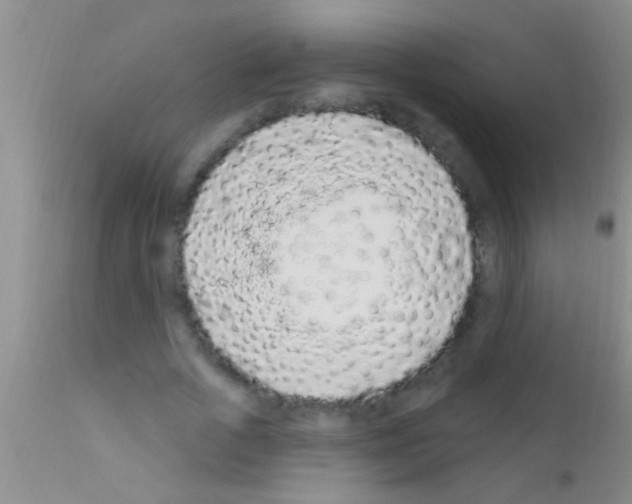 X0000111890729200909031904