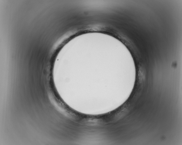 X0000111890730200909031904