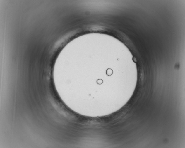 X0000111890732200909031904