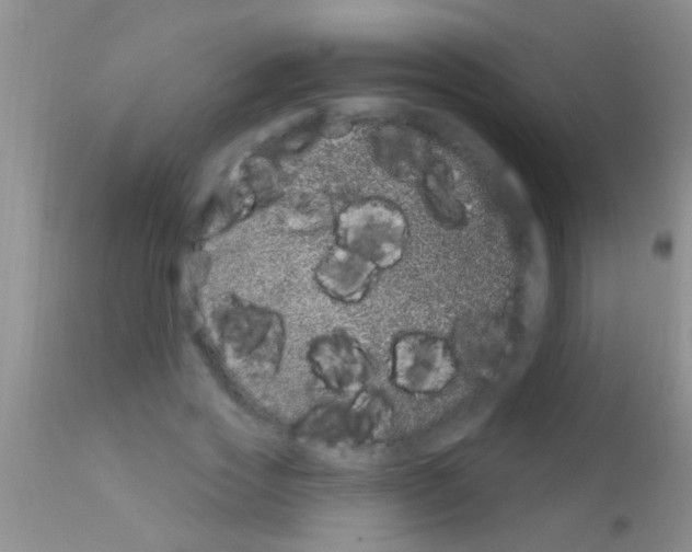 X0000111890733200909031904