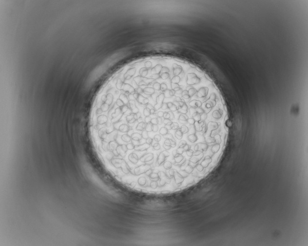 X0000111890734200909031904