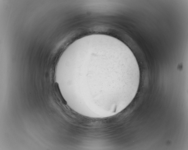 X0000111890735200909031904