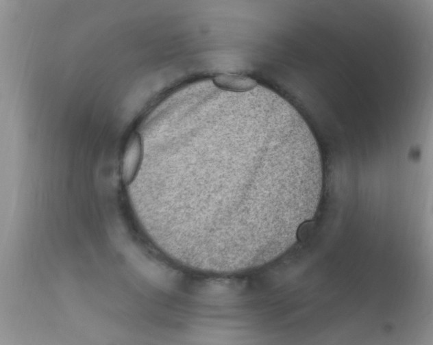 X0000111890736200909031904