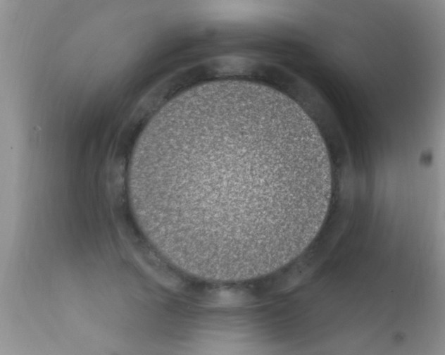 X0000111890737200909031904