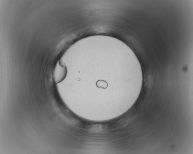 X0000111890740200909031904