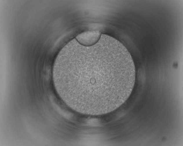 X0000111890741200909031904