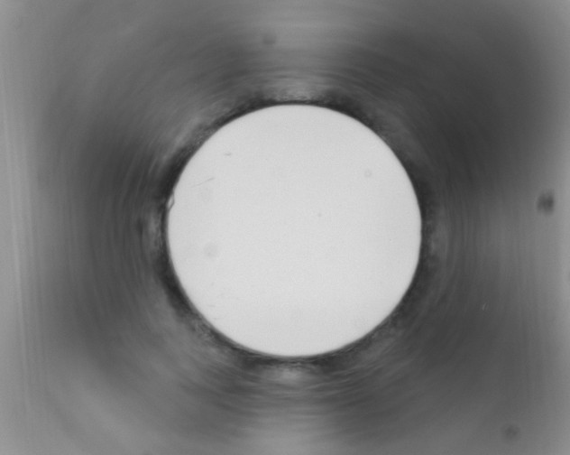 X0000111890743200909031904