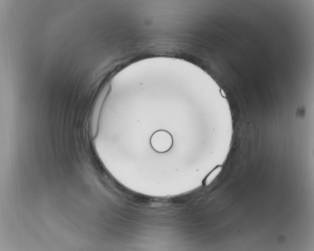 X0000111890744200909031904