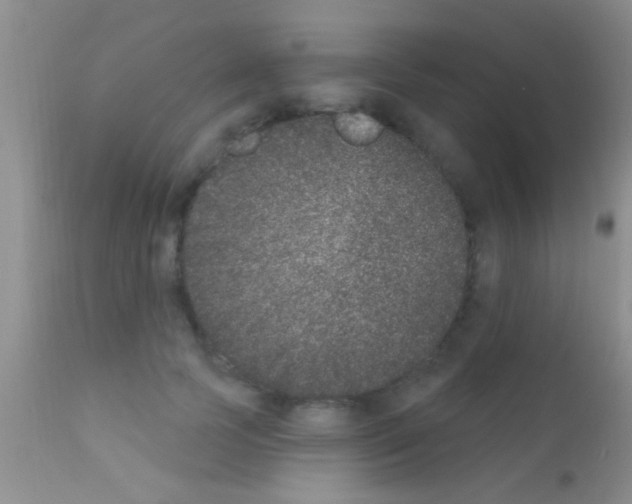 X0000111890745200909031904