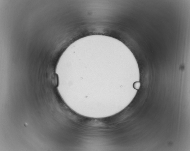 X0000111890747200909031904