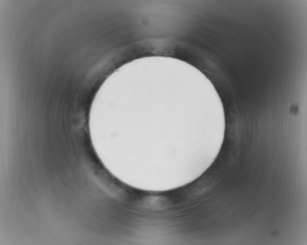 X0000111890748200909031904