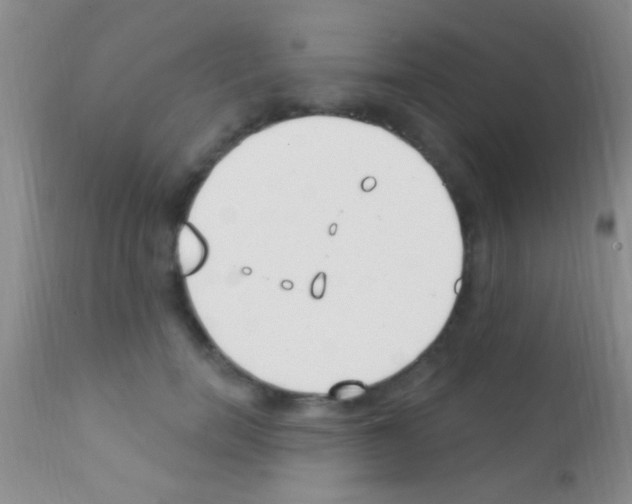 X0000111890750200909031904