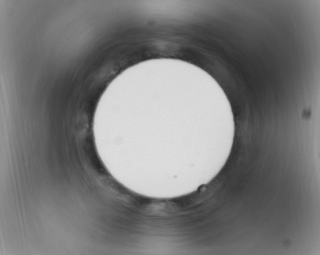 X0000111890752200909031904