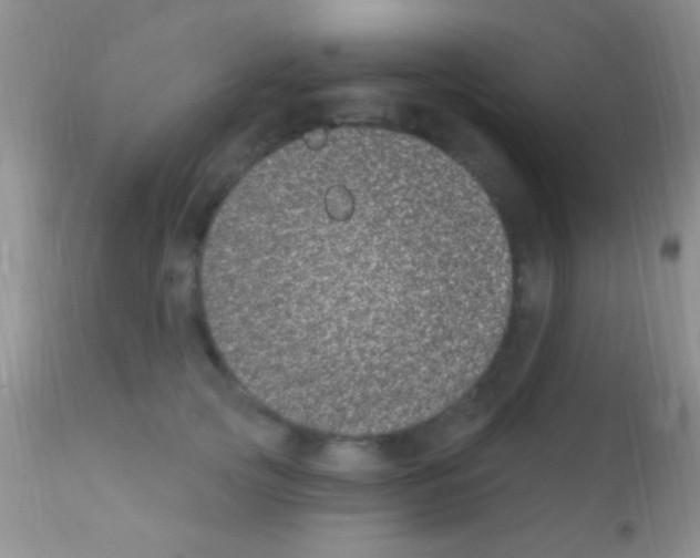 X0000111890753200909031904