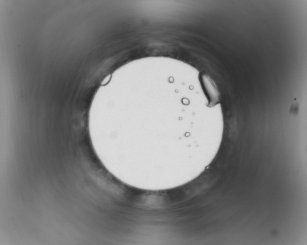 X0000111890756200909031904