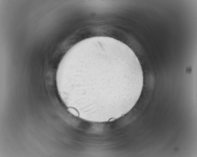 X0000111890757200909031904