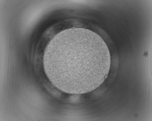 X0000111890761200909031904