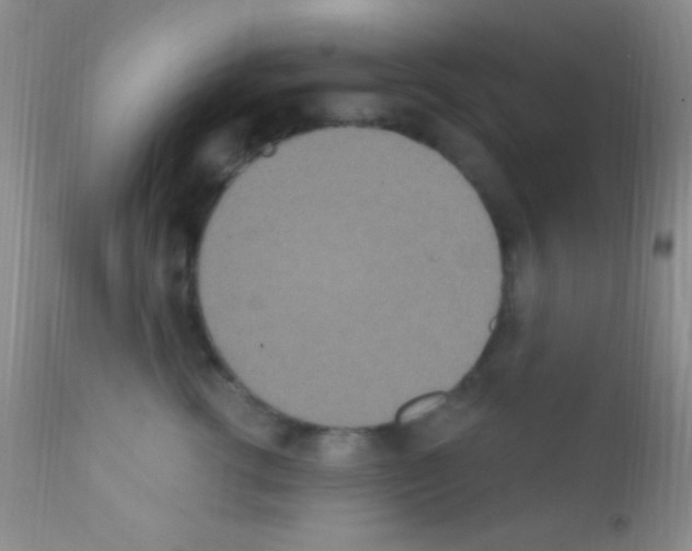 X0000111890762200909031904