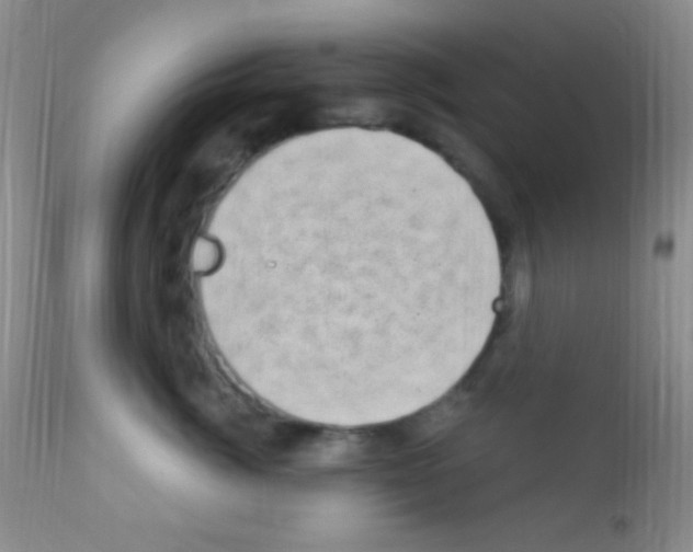 X0000111890764200909031904