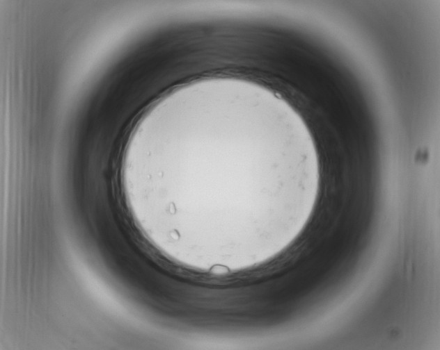 X0000111890766200909031904